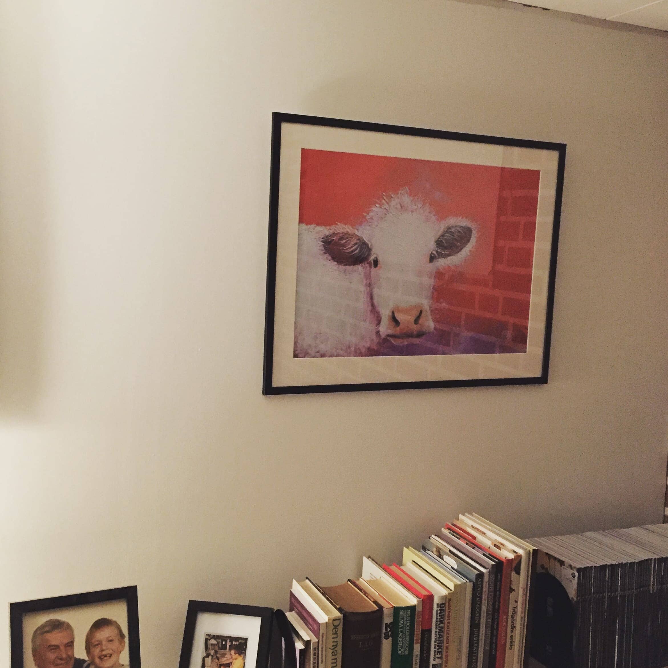 Ett hem utan en ko, vad är det?