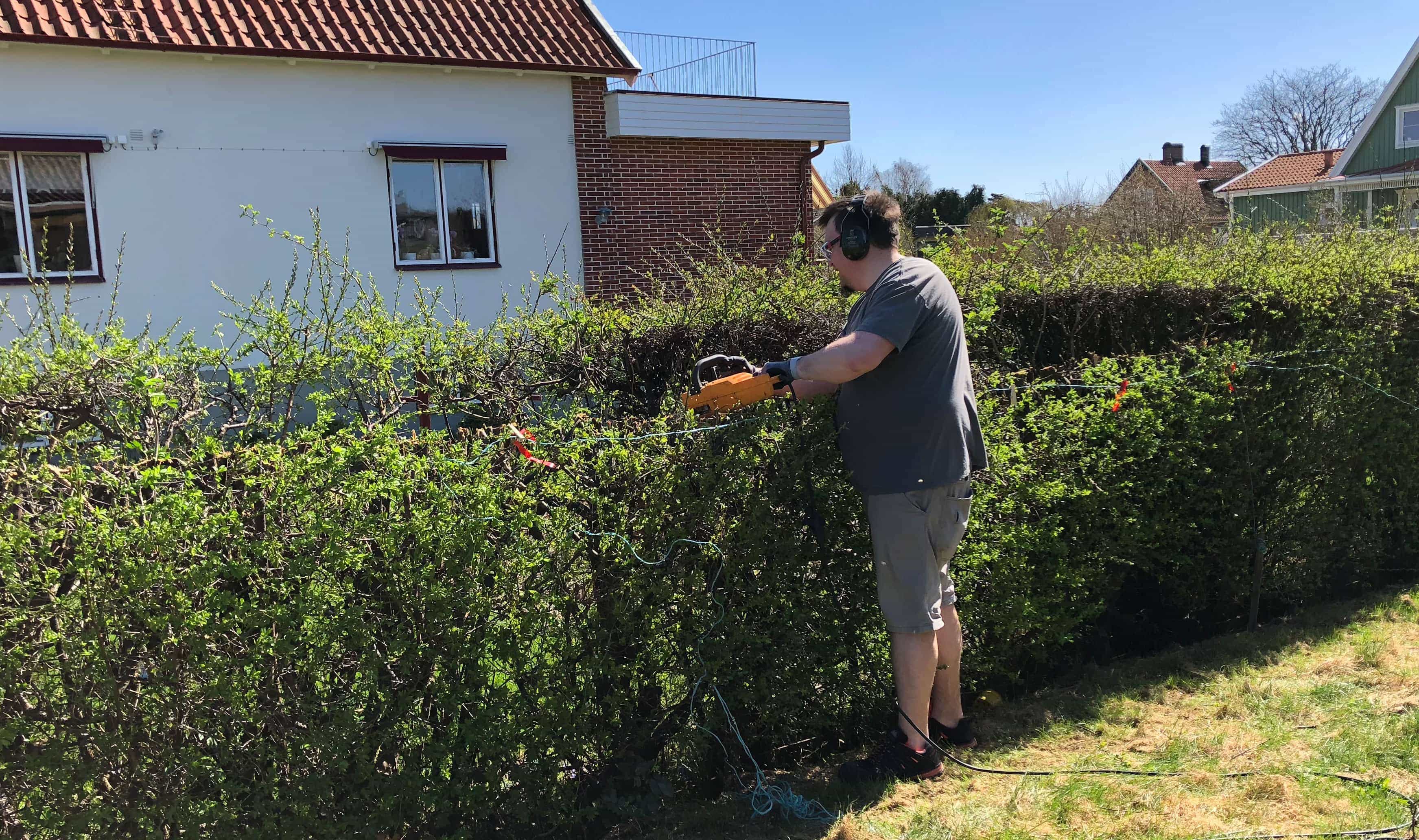 Klippa häck med motorsåg?